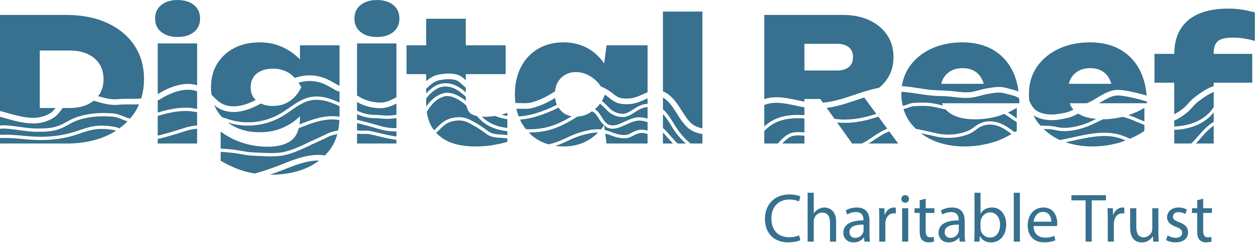 Charitable Trust Dark Blue